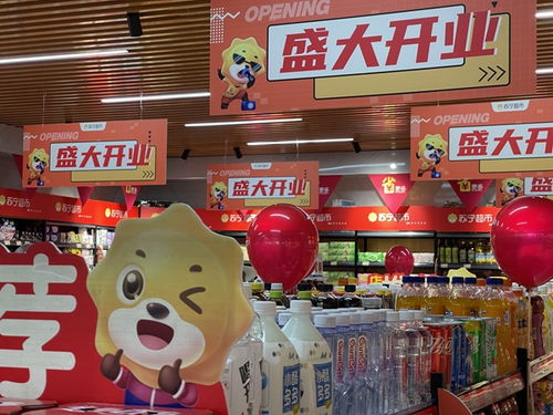家樂福零售云華西區(qū)首家加盟店亮相昆明，加速布局針紡織品市場(chǎng)